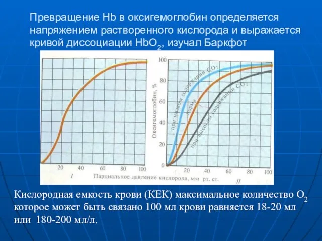 Превращение Hb в оксигемоглобин определяется напряжением растворенного кислорода и выражается