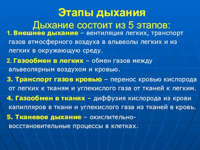 Этапы дыхания Дыхание состоит из 5 этапов: 1. Внешнее дыхание