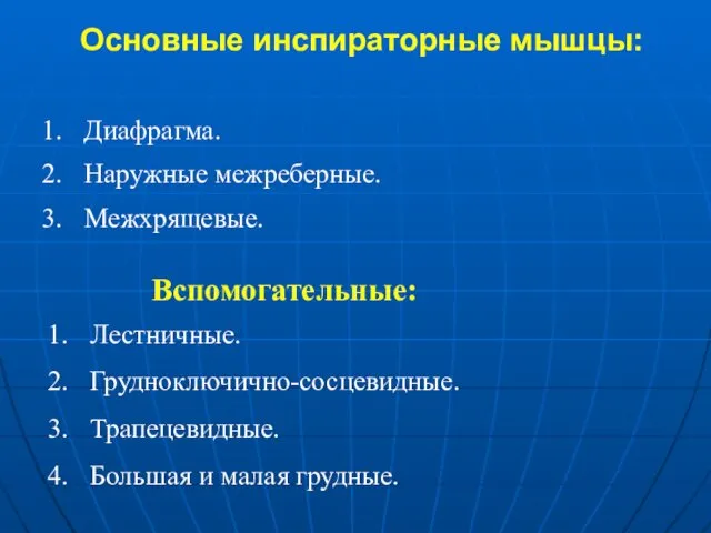 Основные инспираторные мышцы: Диафрагма. Наружные межреберные. Межхрящевые. Вспомогательные: Лестничные. Грудноключично-сосцевидные. Трапецевидные. Большая и малая грудные.