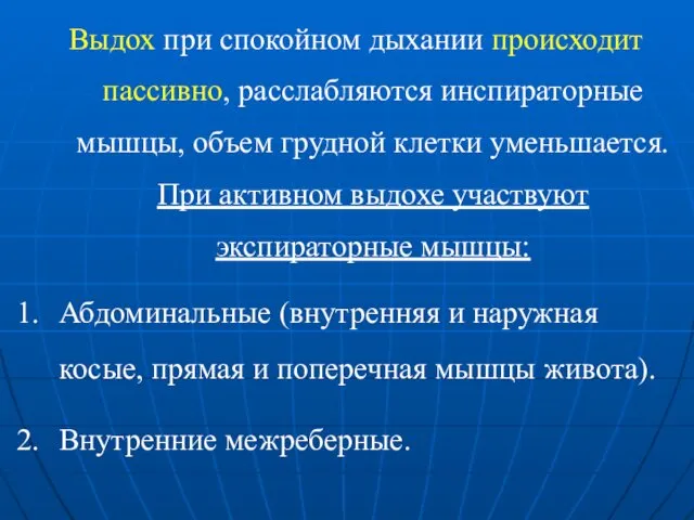 Выдох при спокойном дыхании происходит пассивно, расслабляются инспираторные мышцы, объем