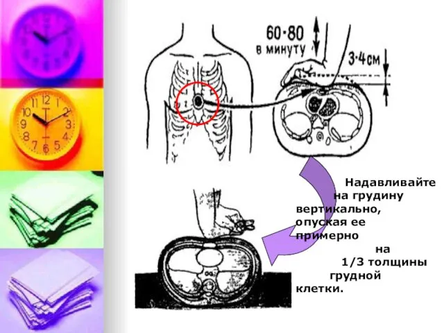 Надавливайте на грудину вертикально, опуская ее примерно на 1/3 толщины грудной клетки.