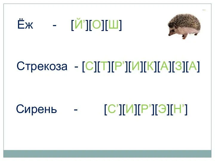 Ёж - [Й’][О][Ш] Cтрекоза - [С][Т][Р’][И][К][А][З][А] Cирень - [С’][И][Р’][Э][Н’]