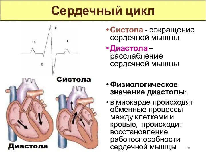Систола - сокращение сердечной мышцы Диастола – расслабление сердечной мышцы Физиологическое значение диастолы: