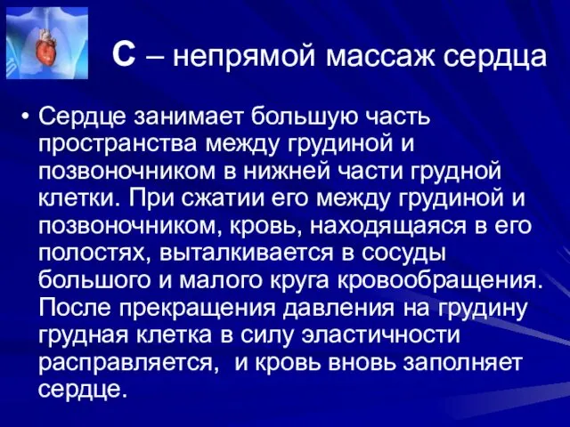 С – непрямой массаж сердца Сердце занимает большую часть пространства