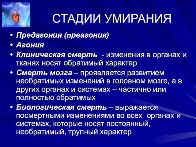 СТАДИИ УМИРАНИЯ Предагония (преагония) Агония Клиническая смерть - изменения в