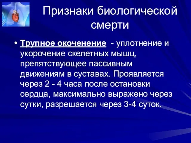 Признаки биологической смерти Трупное окоченение - уплотнение и укорочение скелетных