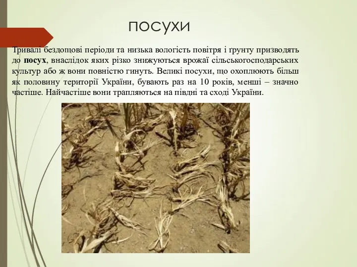 посухи Тривалі бездощові періоди та низька вологість повітря і ґрунту