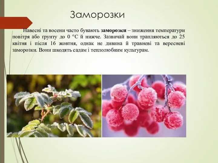 Заморозки Навесні та восени часто бувають заморозки – зниження температури