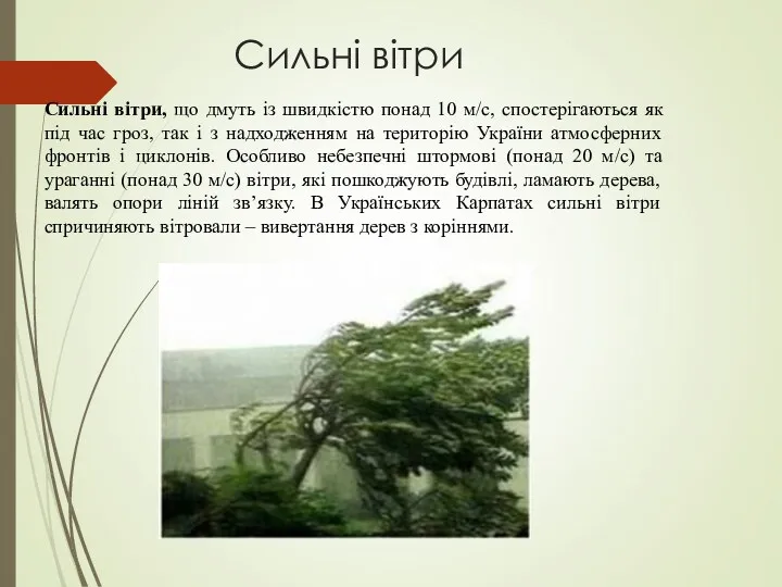 Сильні вітри Сильні вітри, що дмуть із швидкістю понад 10