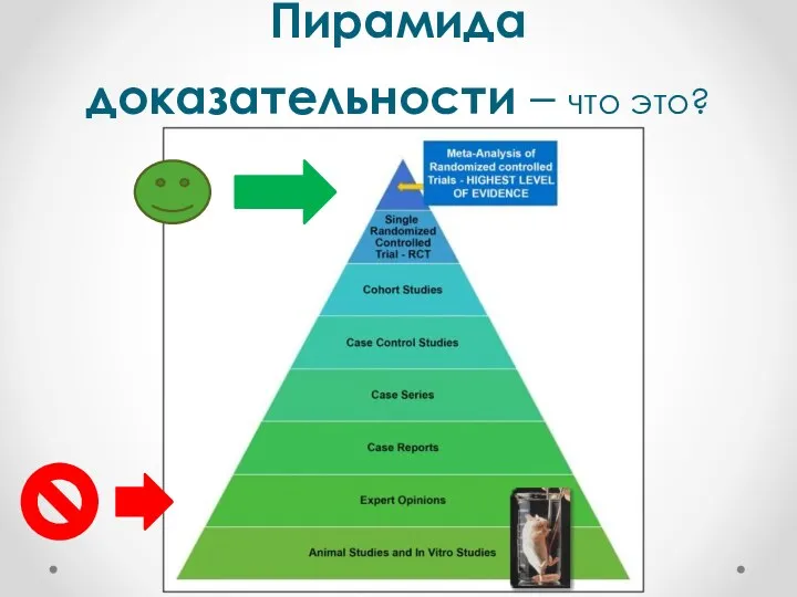 Пирамида доказательности – что это?