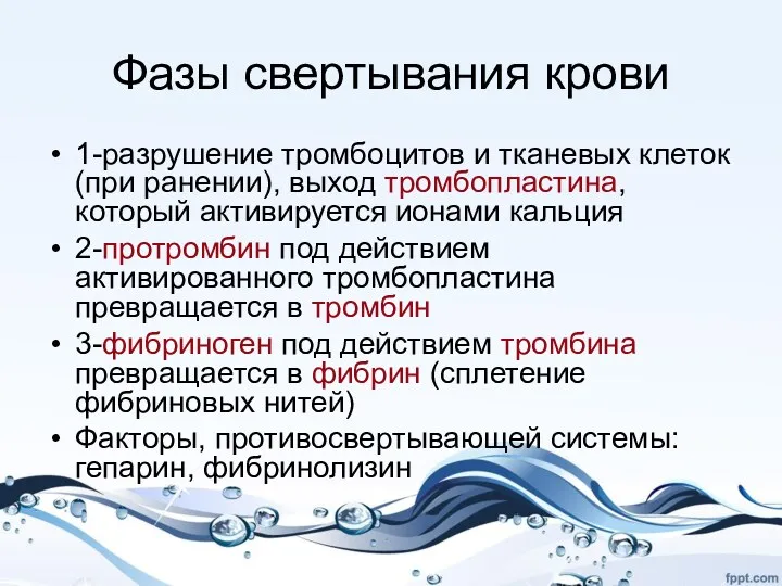 Фазы свертывания крови 1-разрушение тромбоцитов и тканевых клеток (при ранении),