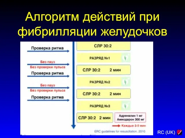 Алгоритм действий при фибрилляции желудочков