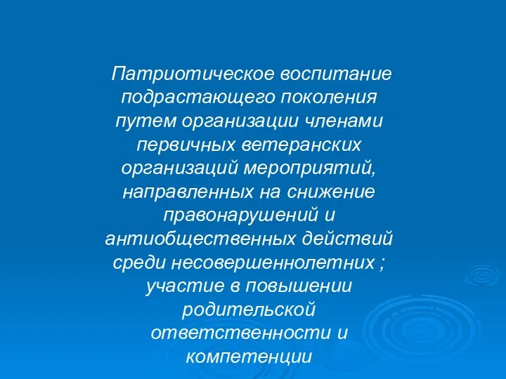 Патриотическое воспитание подрастающего поколения путем организации членами первичных ветеранских организаций