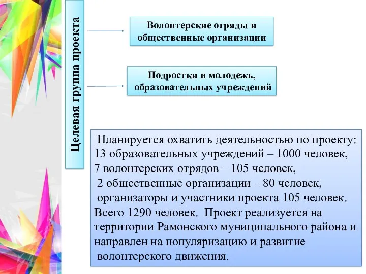 Целевая группа проекта Волонтерские отряды и общественные организации Подростки и