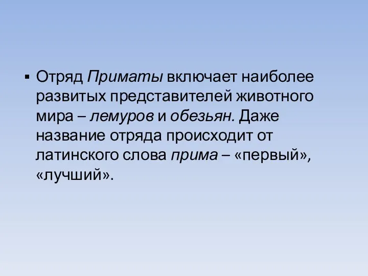 Отряд Приматы включает наиболее развитых представителей животного мира – лемуров