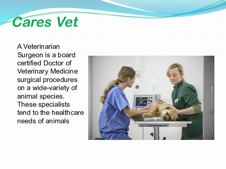 Cares Vet A Veterinarian Surgeon is a board certified Doctor