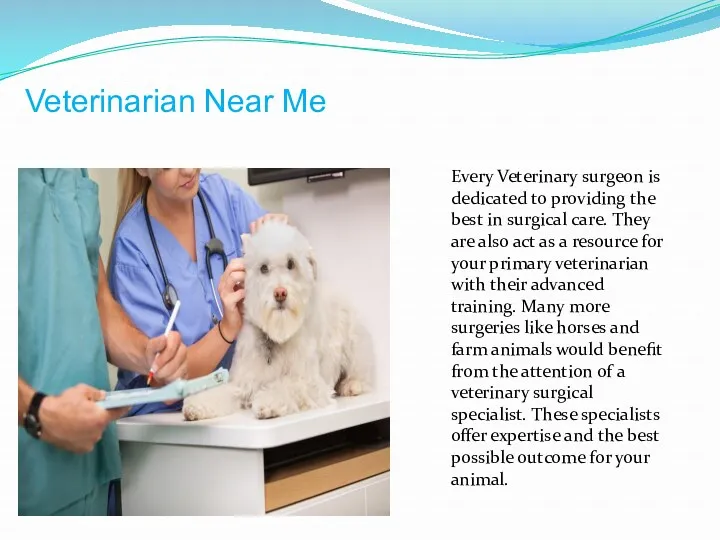 Every Veterinary surgeon is dedicated to providing the best in