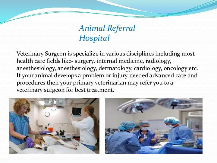 Veterinary Surgeon is specialize in various disciplines including most health