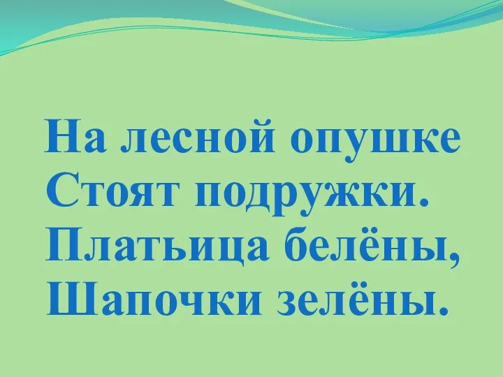 На лесной опушке Стоят подружки. Платьица белёны, Шапочки зелёны.