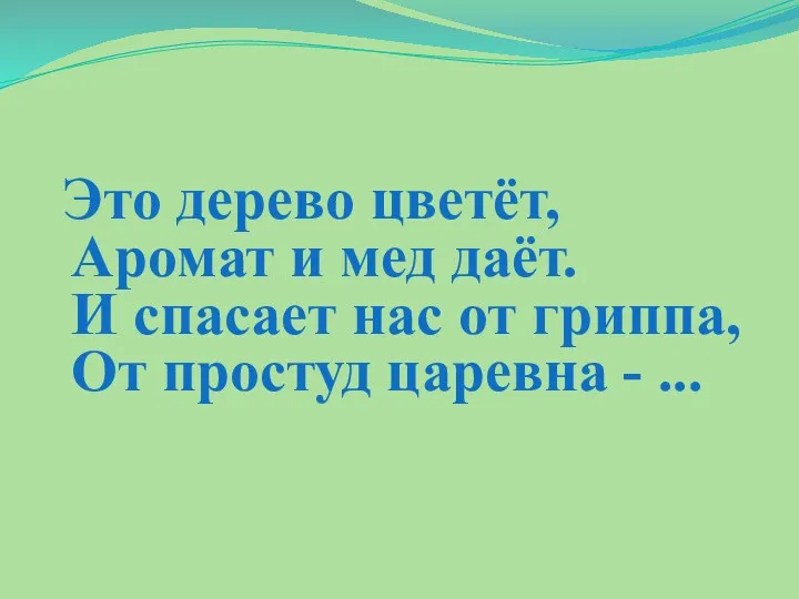 Это дерево цветёт, Аромат и мед даёт. И спасает нас