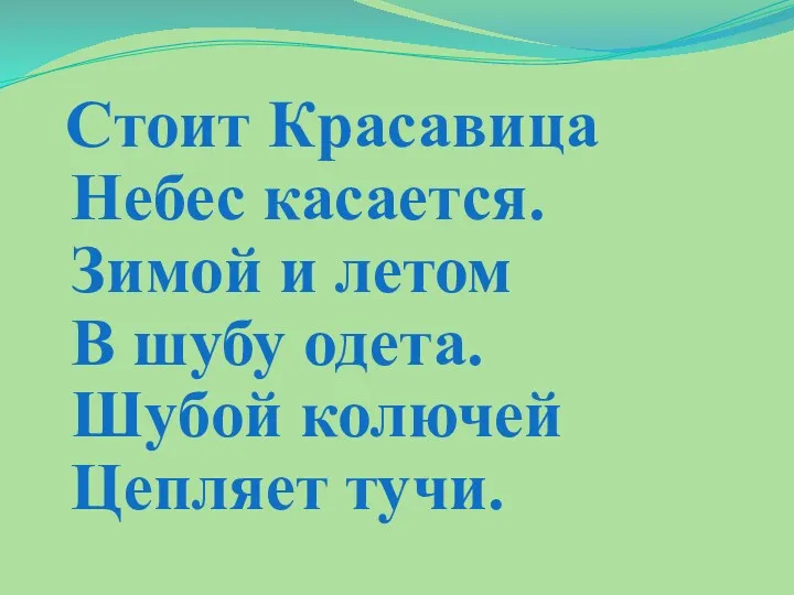 Стоит Красавица Небес касается. Зимой и летом В шубу одета. Шубой колючей Цепляет тучи.