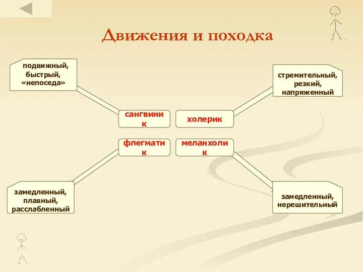 Движения и походка сангвиник холерик флегматик меланхолик стремительный, резкий, напряженный