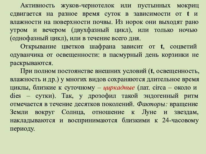 Активность жуков-чернотелок или пустынных мокриц сдвигается на разное время суток