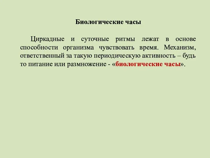 Биологические часы Циркадные и суточные ритмы лежат в основе способности