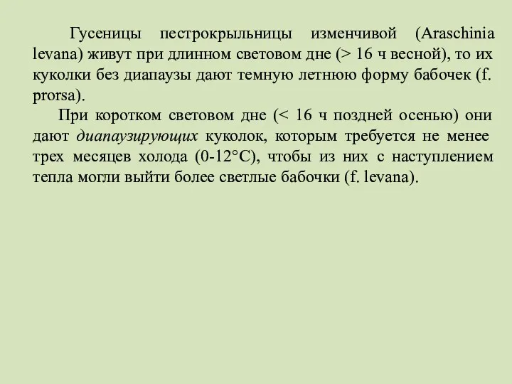 Гусеницы пестрокрыльницы изменчивой (Araschinia levana) живут при длинном световом дне