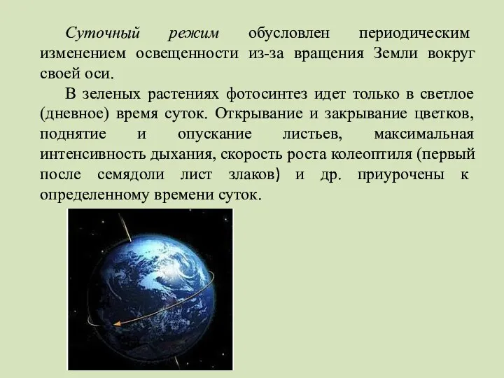 Суточный режим обусловлен периодическим изменением освещенности из-за вращения Земли вокруг