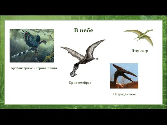В небе Птеродактиль Птерозавр Археоптерикс - первая птица Орнитохейрус