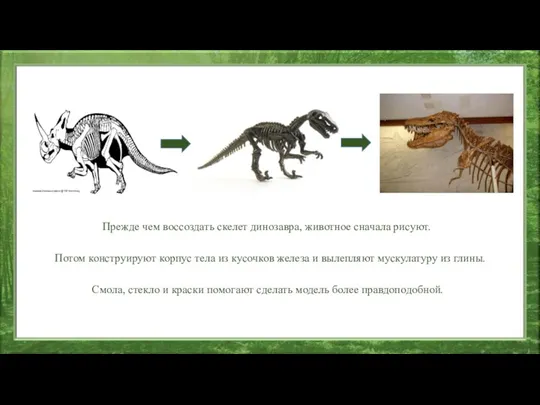 Прежде чем воссоздать скелет динозавра, животное сначала рисуют. Потом конструируют