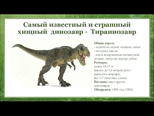 Самый известный и страшный хищный динозавр - Тираннозавр Общие черты: