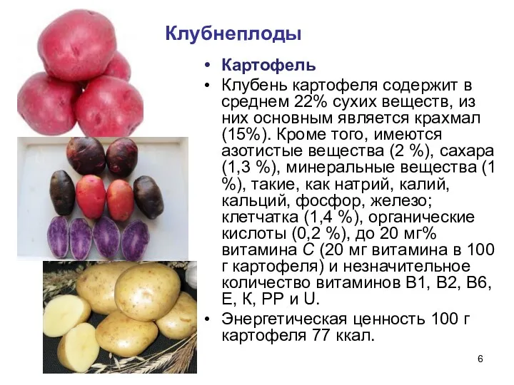 Клубнеплоды Картофель Клубень картофеля содержит в среднем 22% сухих веществ,