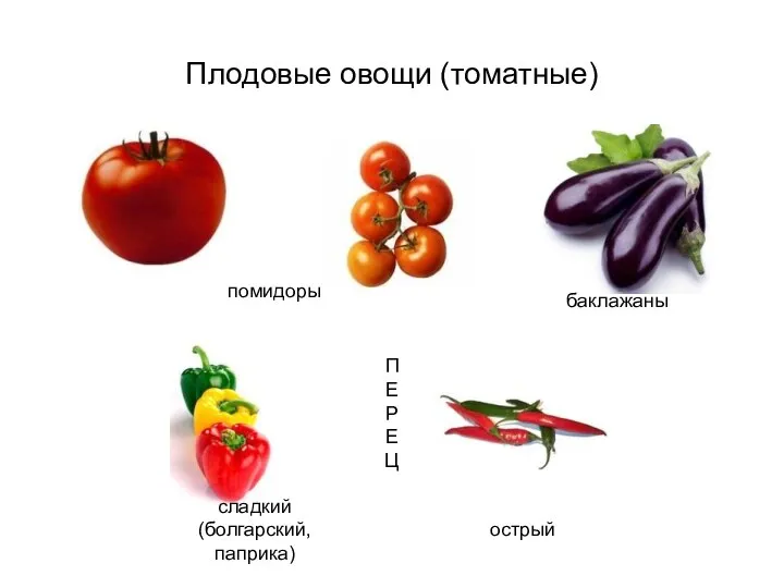 Плодовые овощи (томатные) помидоры баклажаны П Е Р Е Ц сладкий (болгарский, паприка) острый