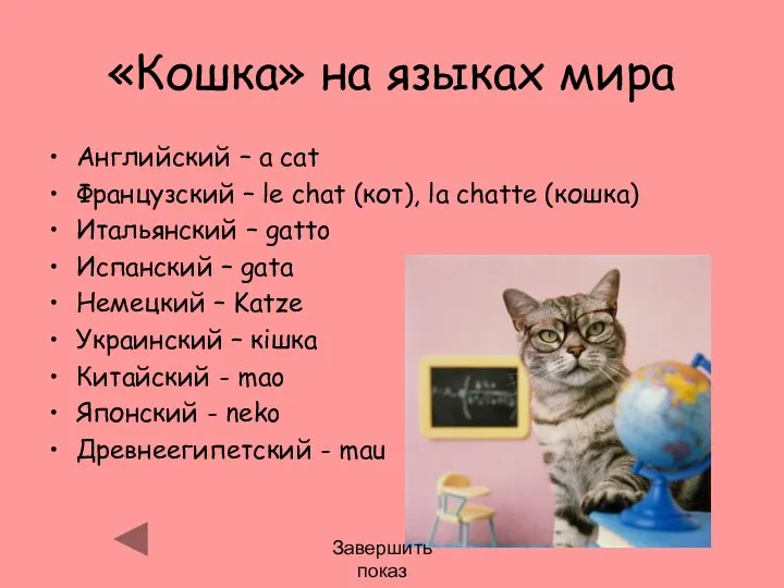 «Кошка» на языках мира Английский – a cat Французский – le chat (кот),