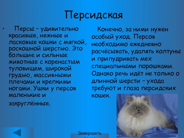 Персы – удивительно красивые, нежные и ласковые кошки с мягкой, роскошной шерстью. Это