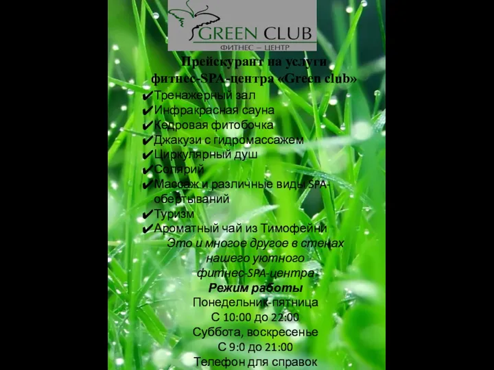 Прейскурант на услуги фитнес-SPA-центра Green club