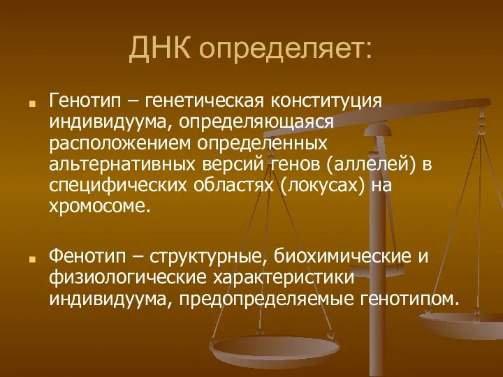 ДНК определяет: Генотип – генетическая конституция индивидуума, определяющаяся расположением определенных