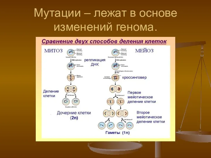 Мутации – лежат в основе изменений генома.