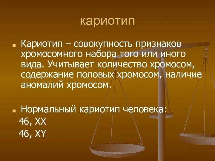 кариотип Кариотип – совокупность признаков хромосомного набора того или иного