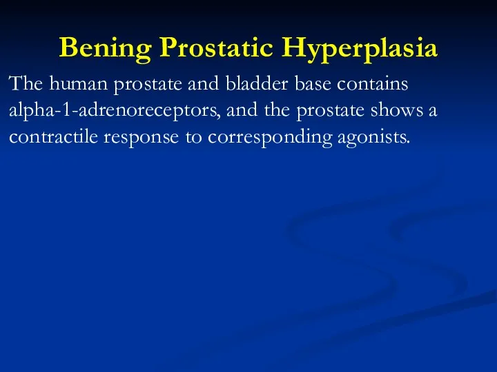 Bening Prostatic Hyperplasia The human prostate and bladder base contains