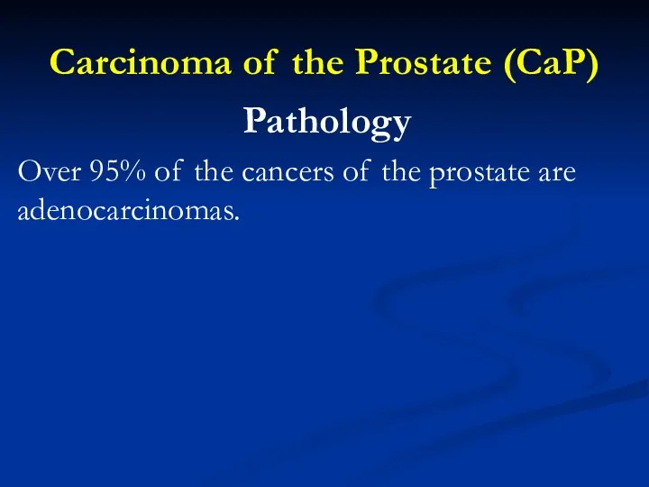 Carcinoma of the Prostate (CaP) Pathology Over 95% of the cancers of the prostate are adenocarcinomas.