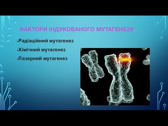 ФАКТОРИ ІНДУКОВАНОГО МУТАГЕНЕЗУ -Радіаційний мутагенез -Хімічний мутагенез -Лазерний мутагенез
