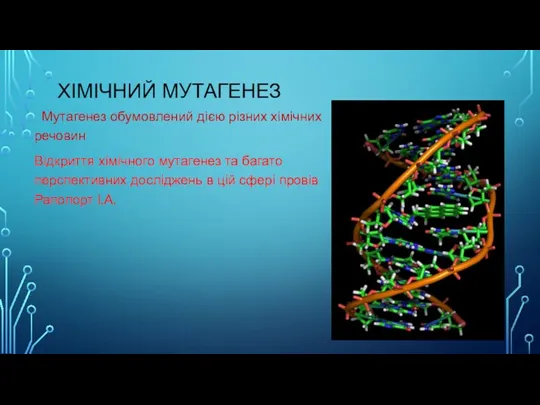 ХІМІЧНИЙ МУТАГЕНЕЗ Мутагенез обумовлений дією різних хімічних речовин Відкриття хімічного мутагенез та багато