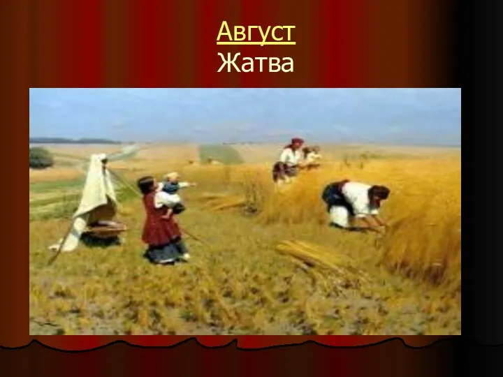 Август Жатва