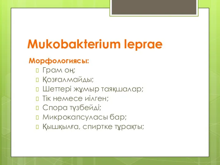 Mukobakterium leprae Морфологиясы: Грам оң; Қозғалмайды; Шеттері жұмыр таяқшалар; Тік