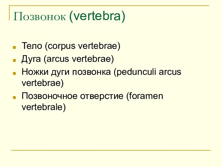 Позвонок (vertebra) Тело (corpus vertebrae) Дуга (arcus vertebrae) Ножки дуги
