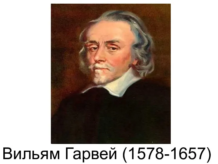 Вильям Гарвей (1578-1657)‏