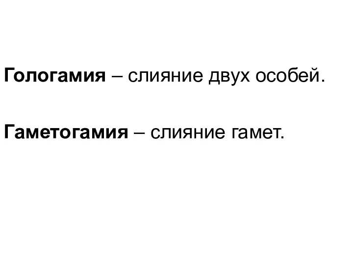 Гологамия – слияние двух особей. Гаметогамия – слияние гамет.